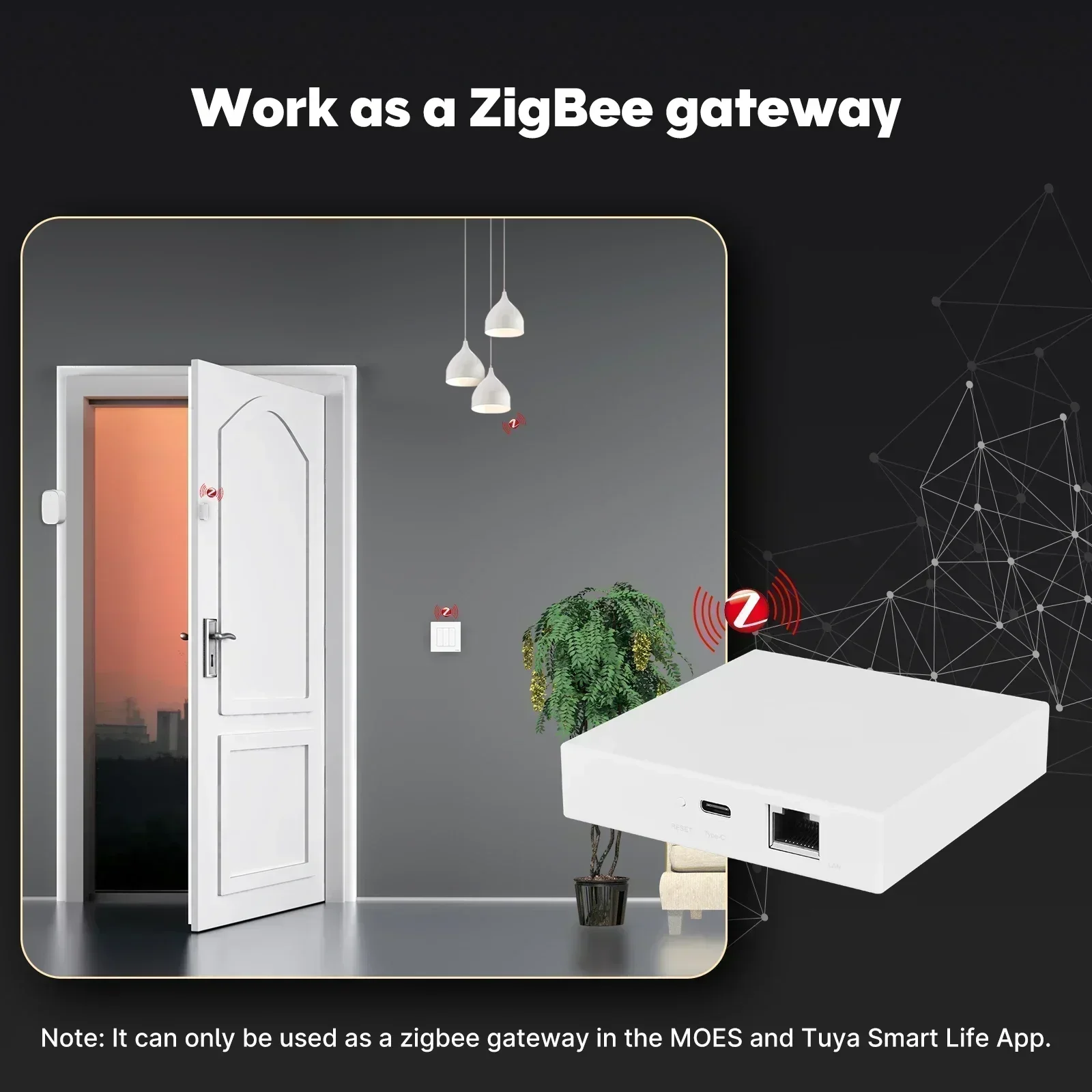 MOES Tuya Zigbee Matter 스레드 게이 - Diy Home Electronics 리뷰 및 가격