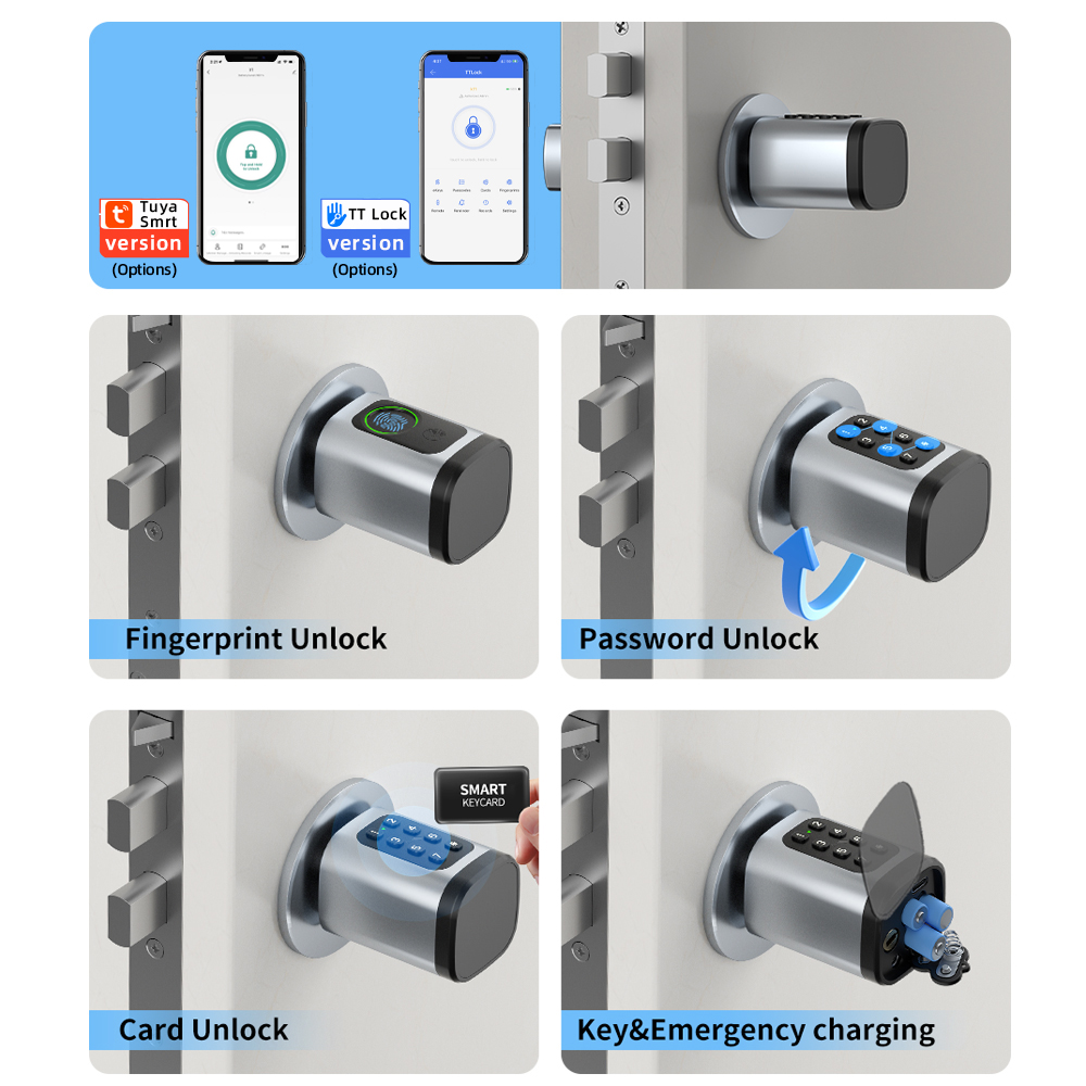 RAYKUBE V1 Tuya BLE TT 잠금 장치 D - Diy Home Electronics 리뷰 및 가격