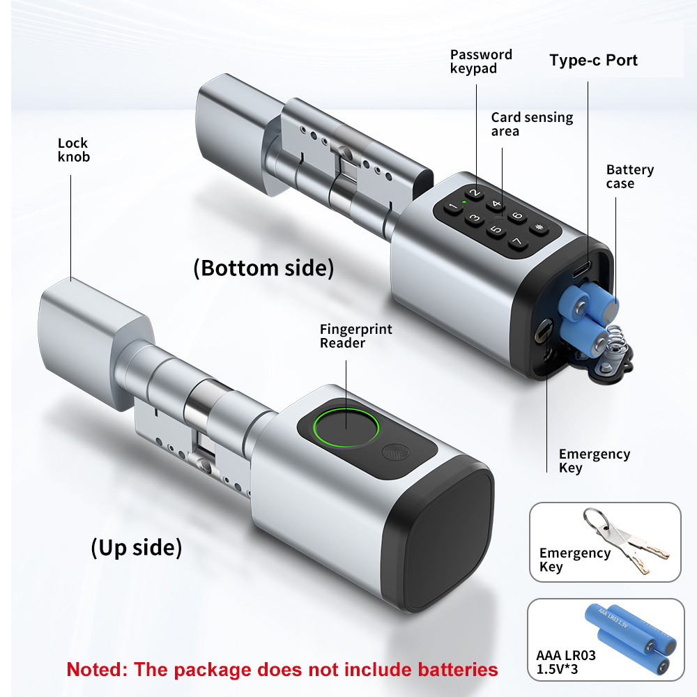 RAYKUBE V1 Tuya BLE TT 잠금 장치 D - Diy Home Electronics 리뷰 및 가격